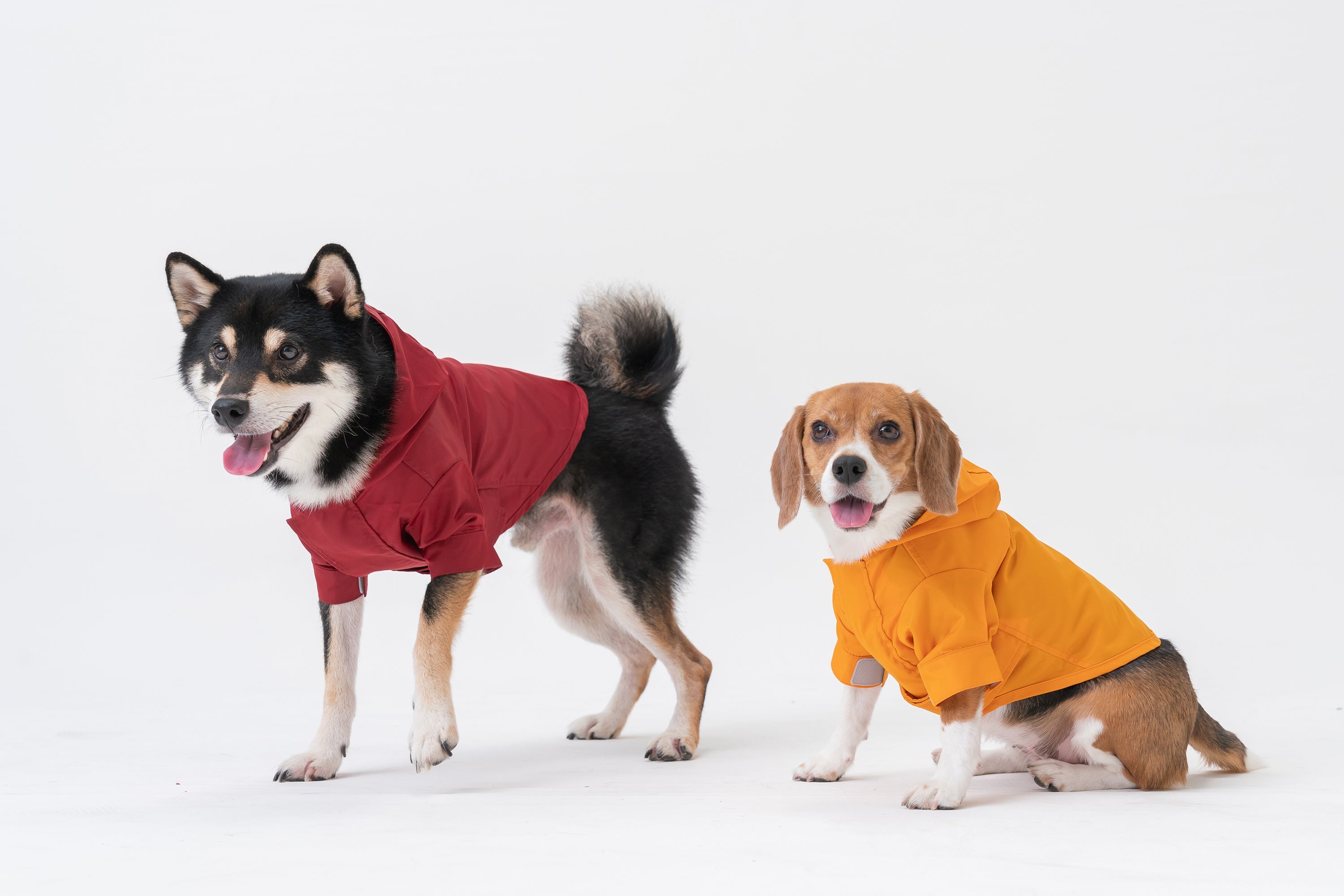 Tribeca adjustable velcro raincoat - Burgundy