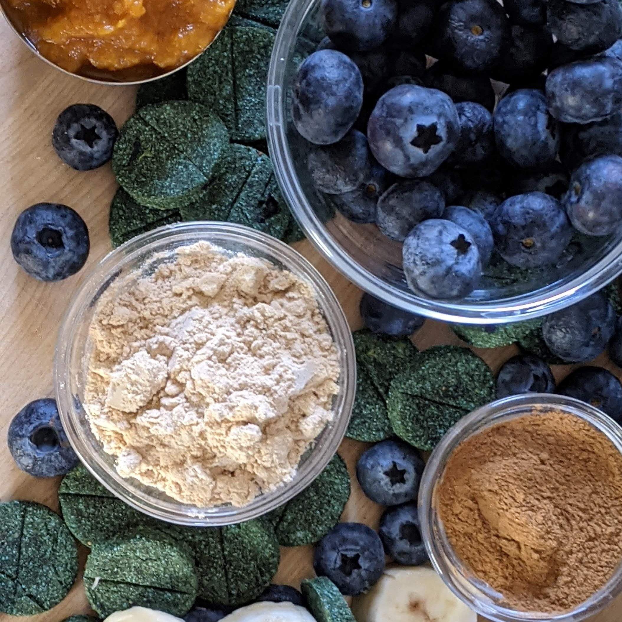 CHESTER'S BLUEBERRY DOG TREATS FOR OVERALL SUPPORT