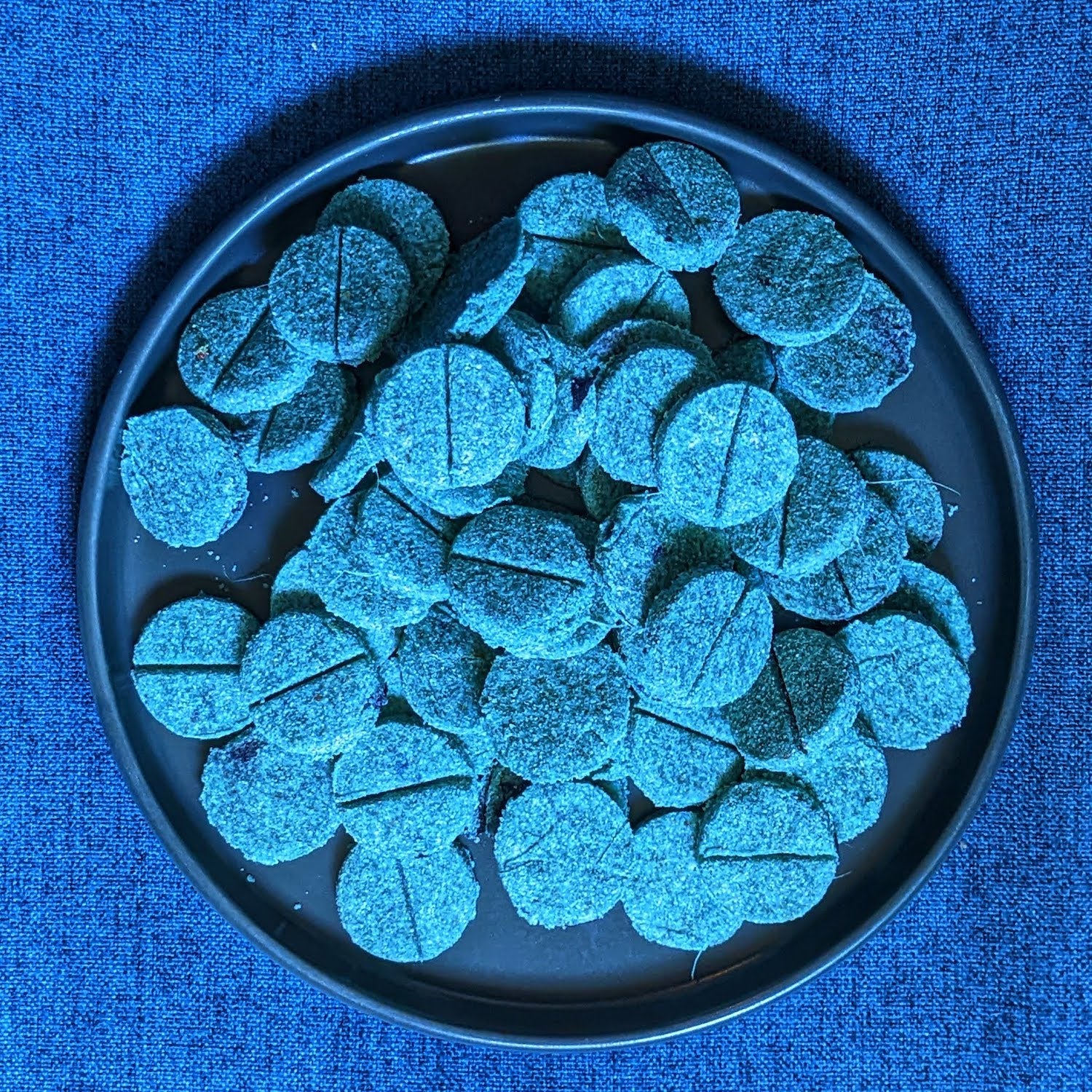 CHESTER'S BLUEBERRY DOG TREATS FOR OVERALL SUPPORT