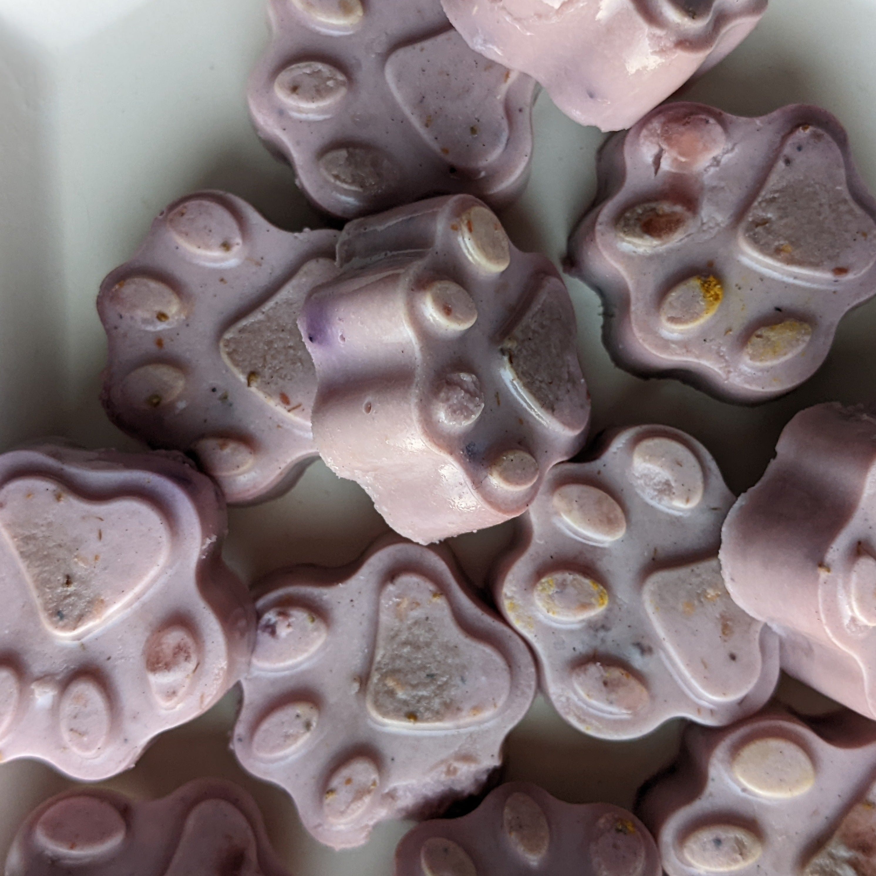 CHESTER'S BLUEBERRY COCONUT MILK GUMMY MIX FOR HEALTHY PROBIOTICS