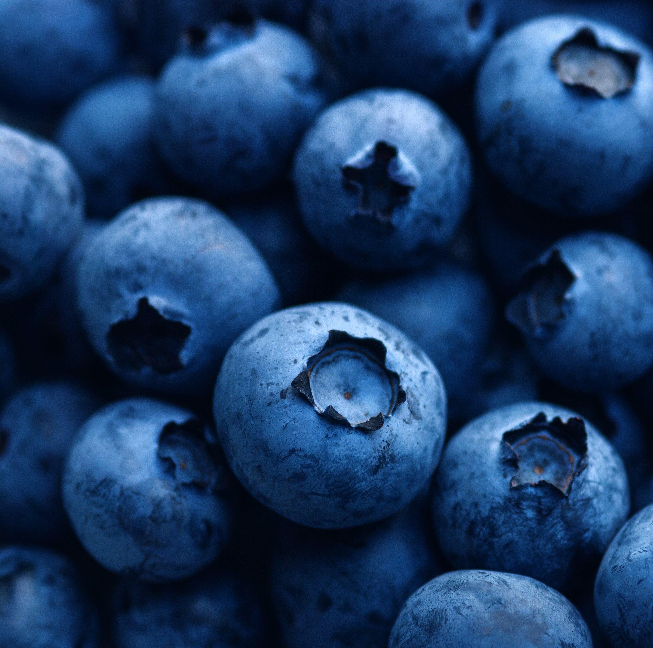 CHESTER'S BLUEBERRY DOG TREATS FOR OVERALL SUPPORT