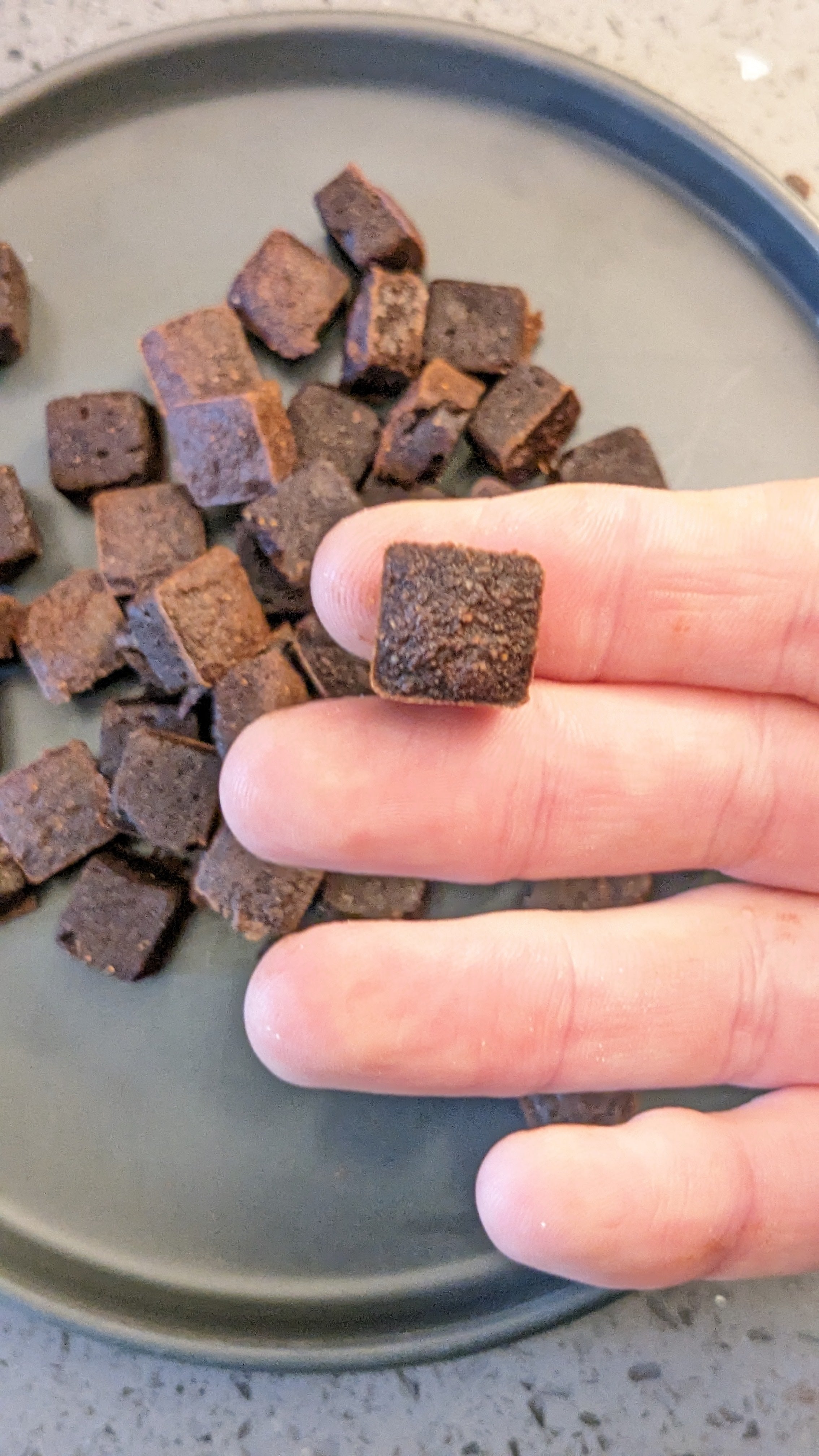 CHESTER'S CAROB BROWNIE BITES (IN CAROB, BEEF OR PORK)
