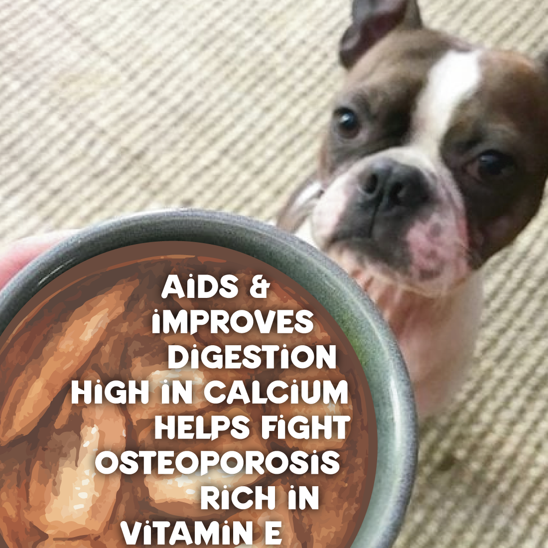 3 NEW CHESTER'S LATTÉ DOG TREAT FOR HEALTHY OMEGA FATS