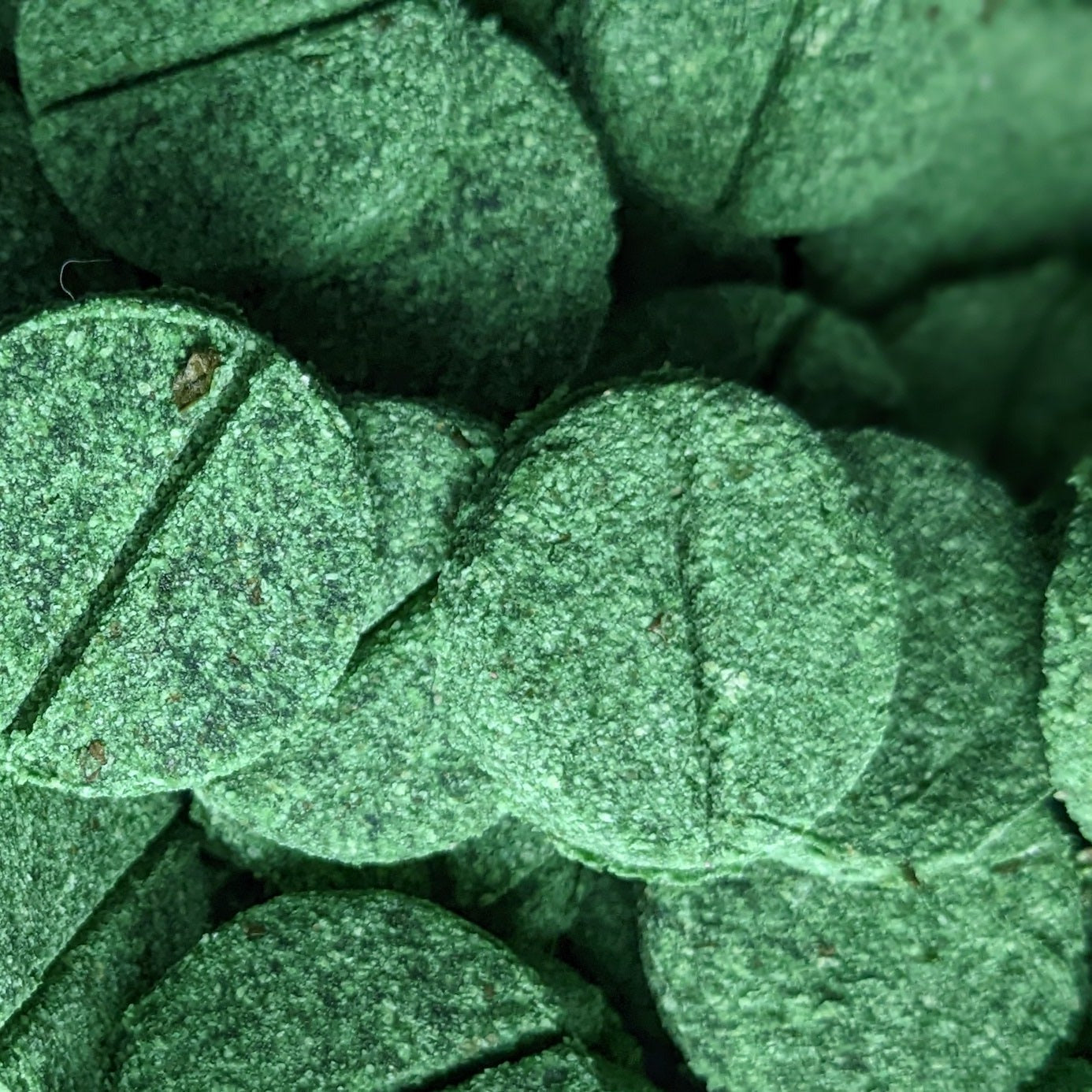 CHESTER'S SUPER GREENS DOG TREATS WITH 25 ESSENTIAL VITAMINS AND MINERALS