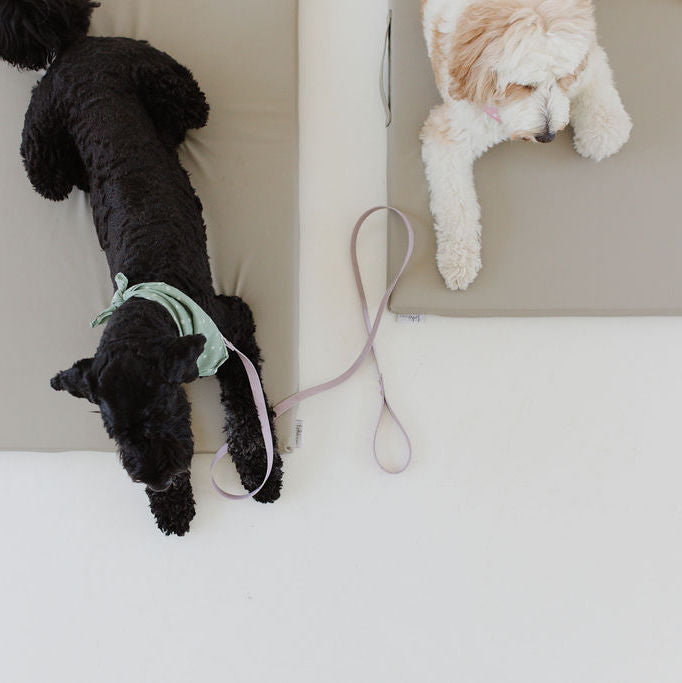 Pebble | Dog Bed Cover