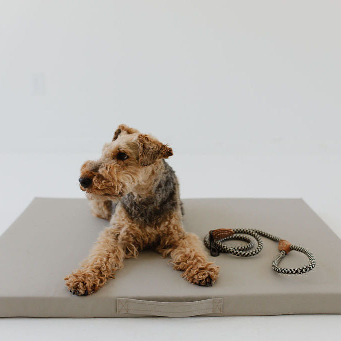 Pebble | Dog Bed Cover