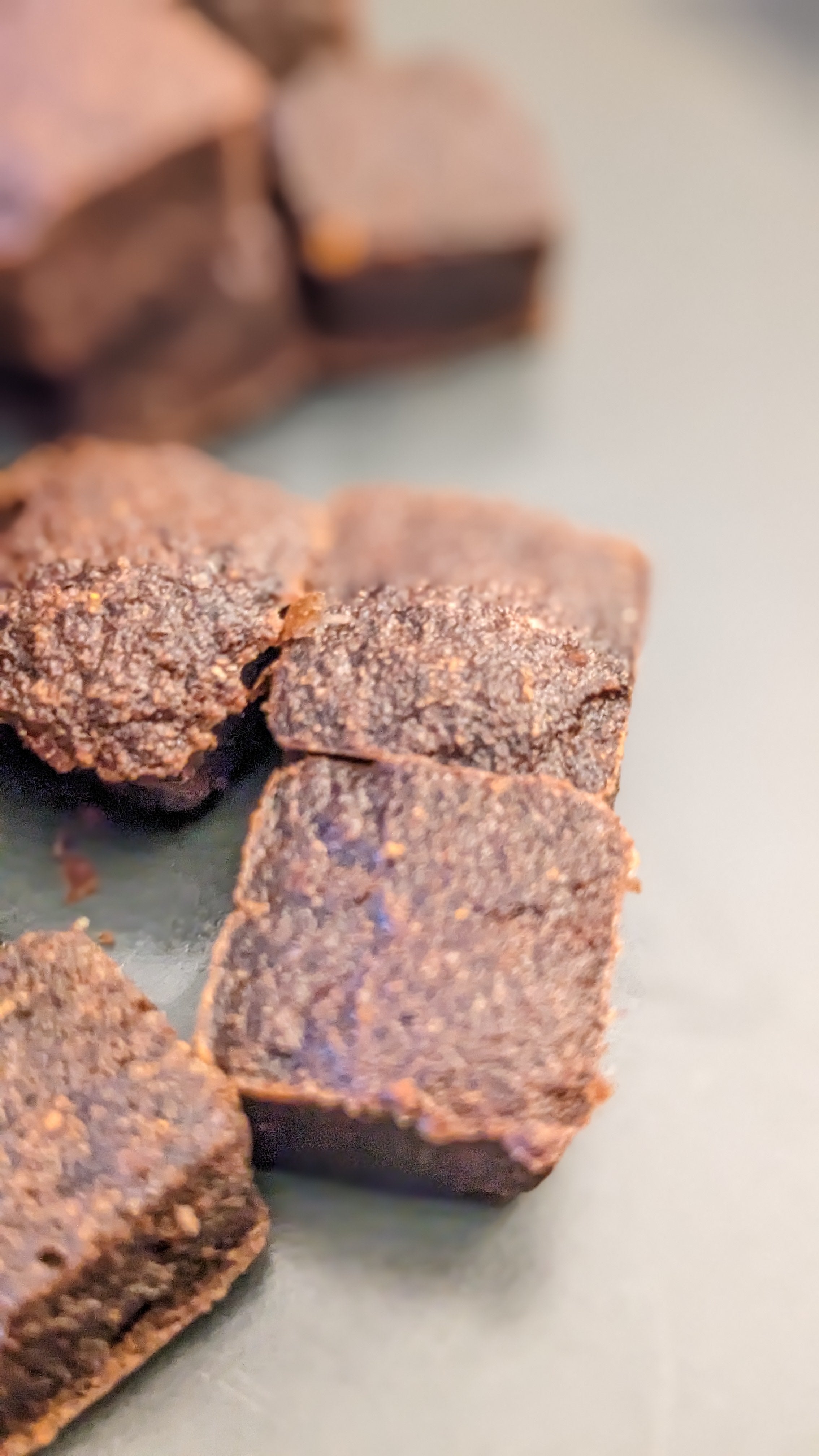 CHESTER'S CAROB BROWNIE BITES (IN CAROB, BEEF OR PORK)